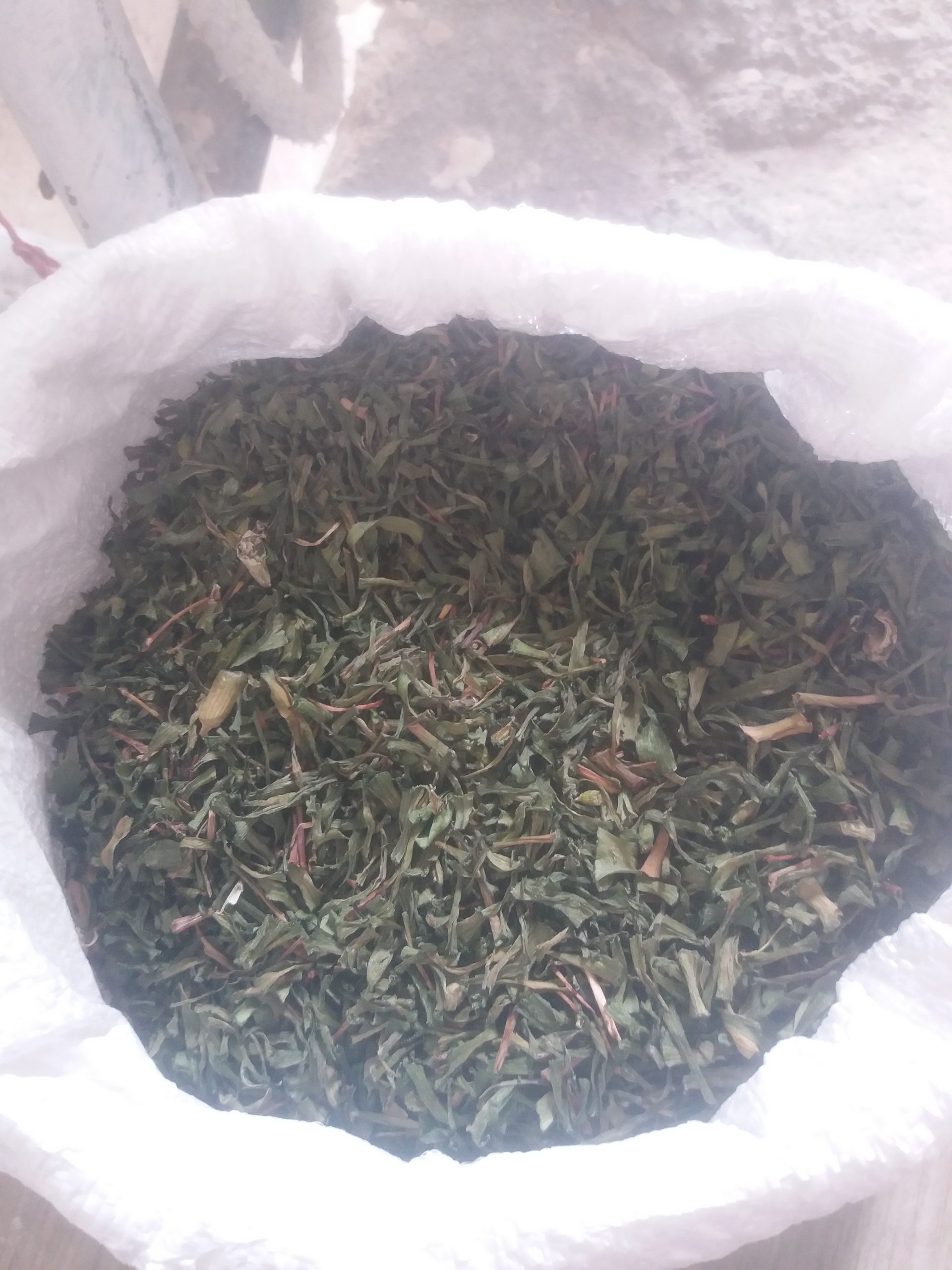 لیزک بن سرخ